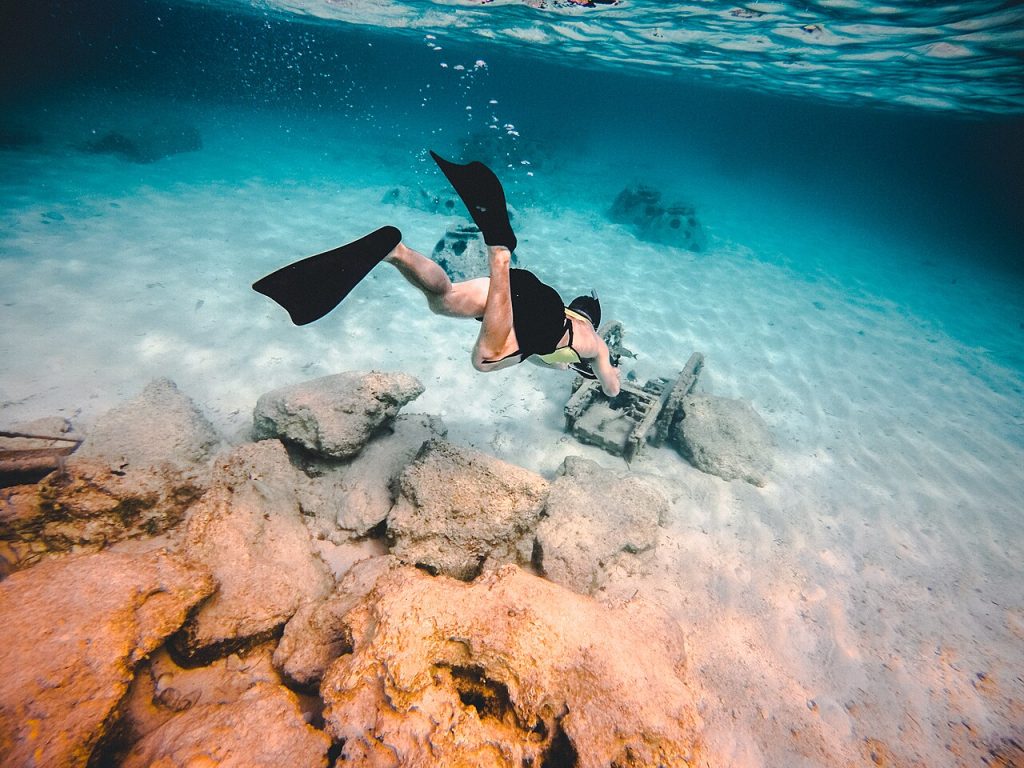 Snorkeling Trip, Bahamas
