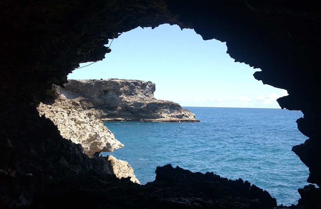 Animal Flower Cave, Barbados