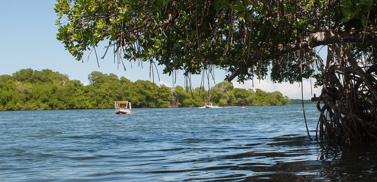 La Restinga Lagoon Tour, Margarita Island