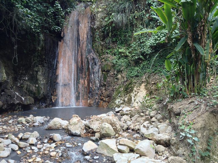 Botanical Gardens & Waterfalls, St. Lucia