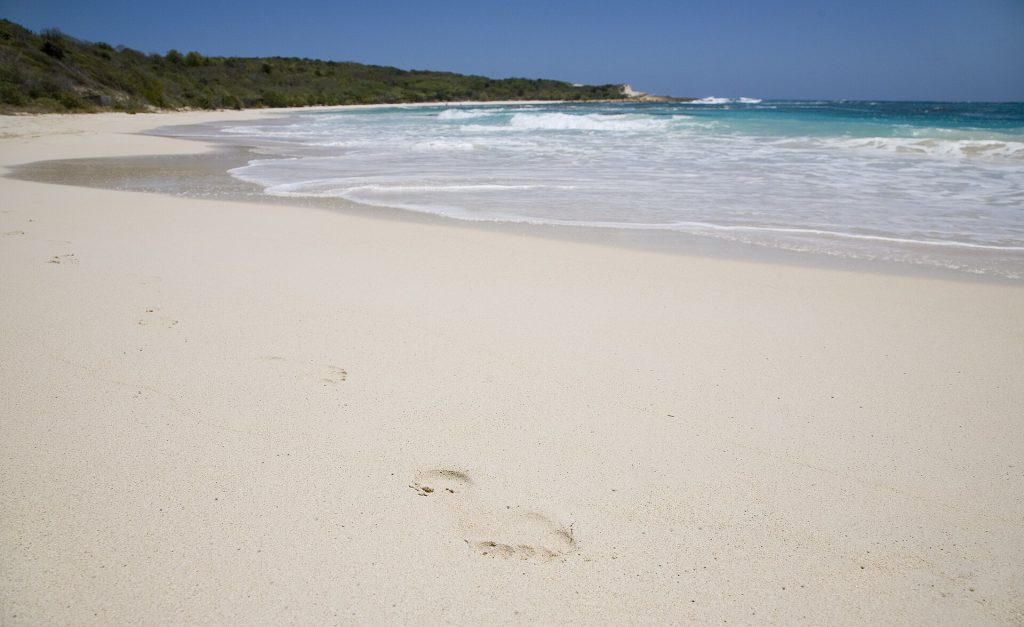 Half Moon Bay, Antigua