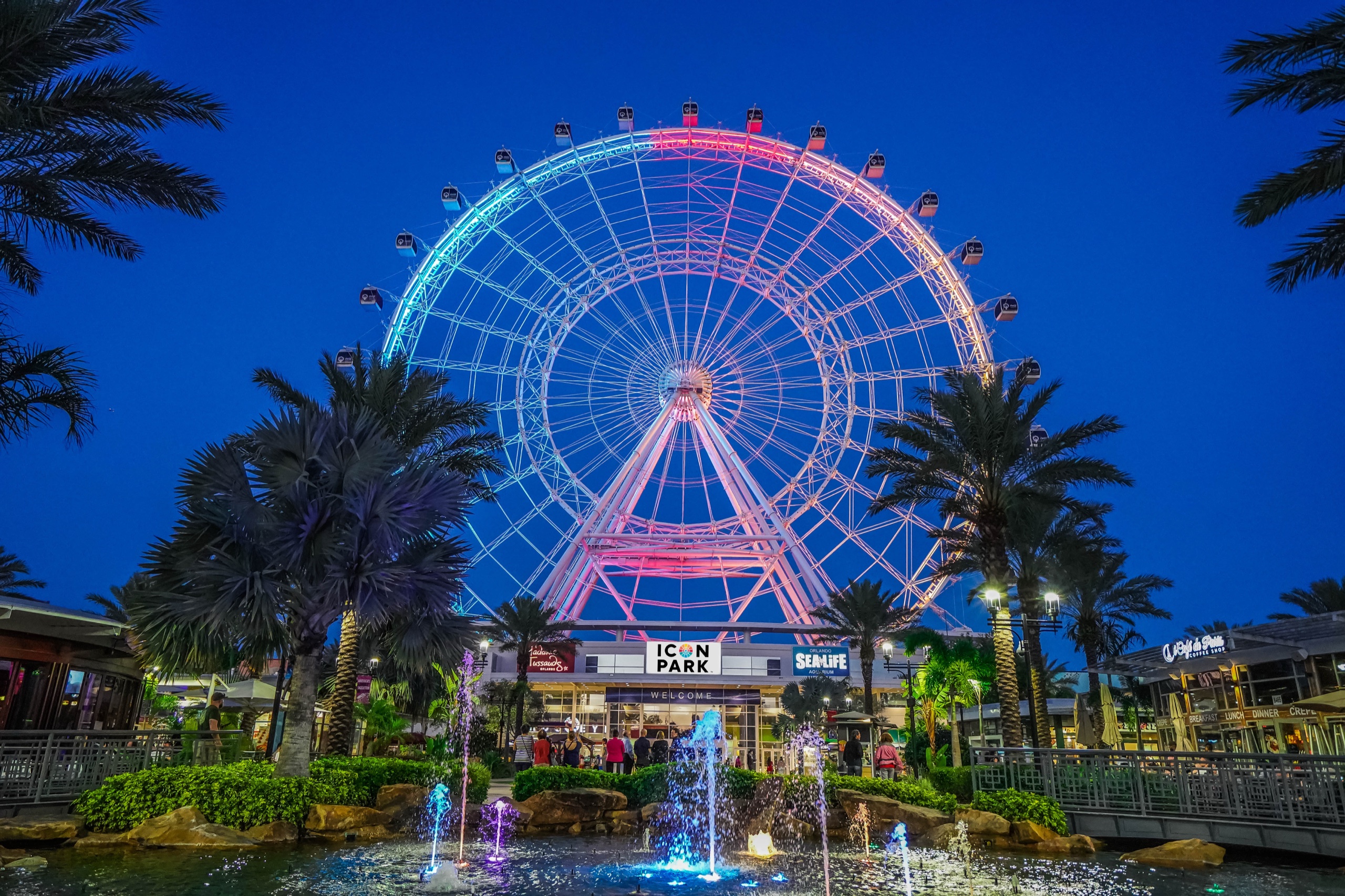 Observation wheel lit at night, Orlando